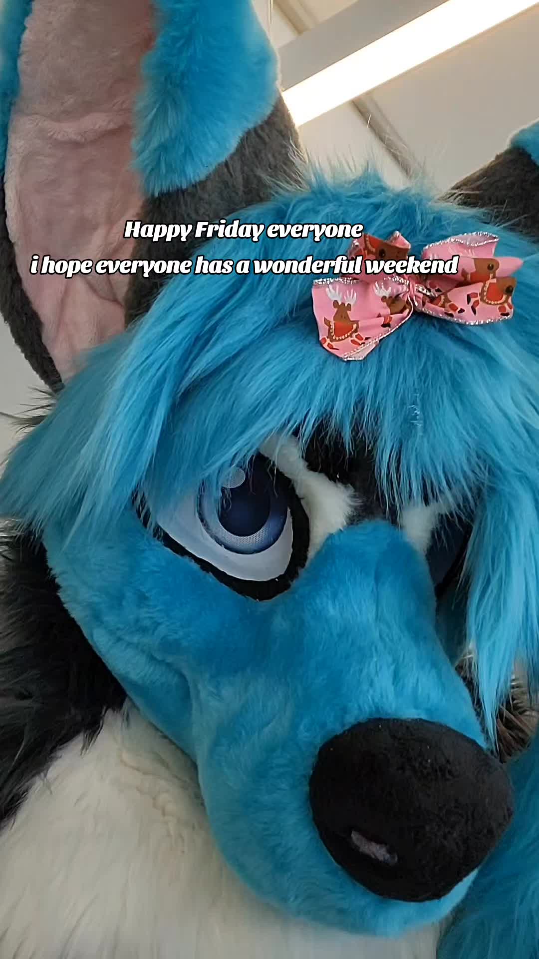 @Savi Wolf 🔜 MFF