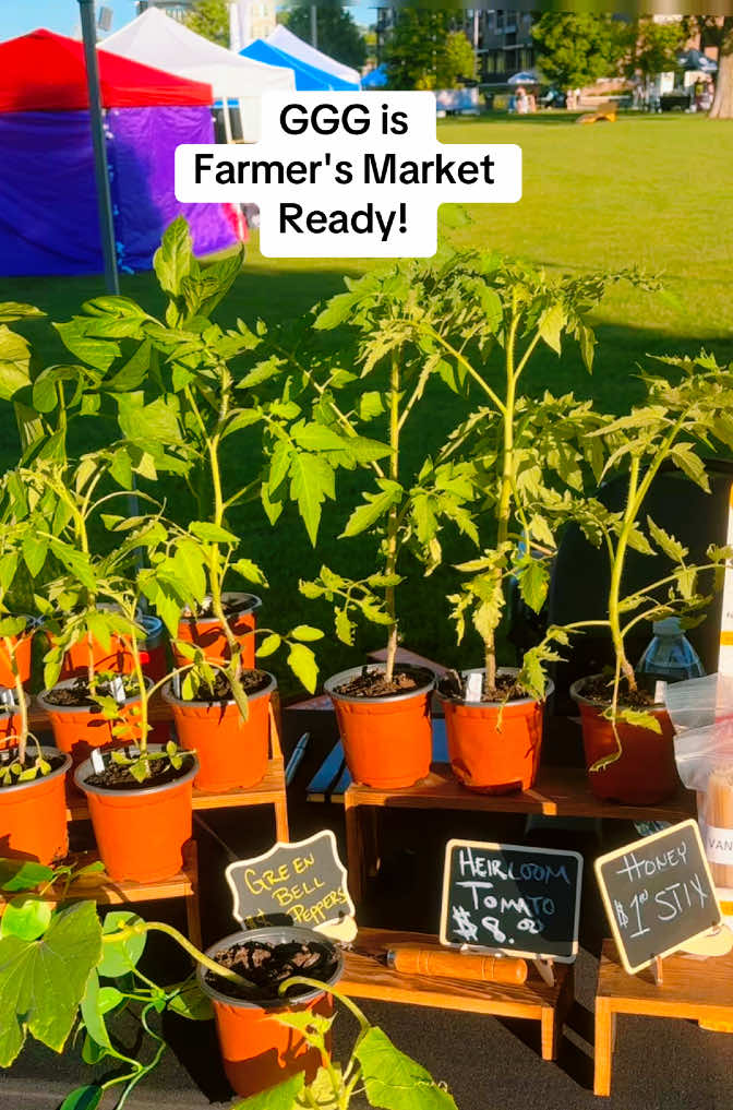 @greengirlgardens