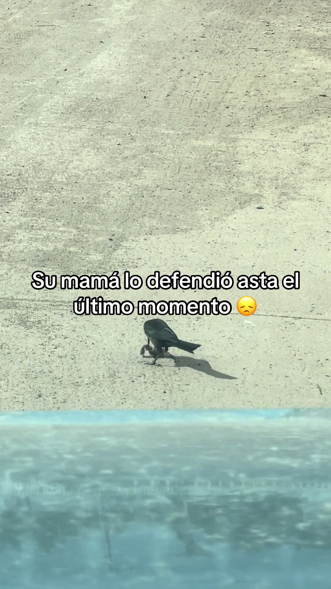 @Jorge Quintero