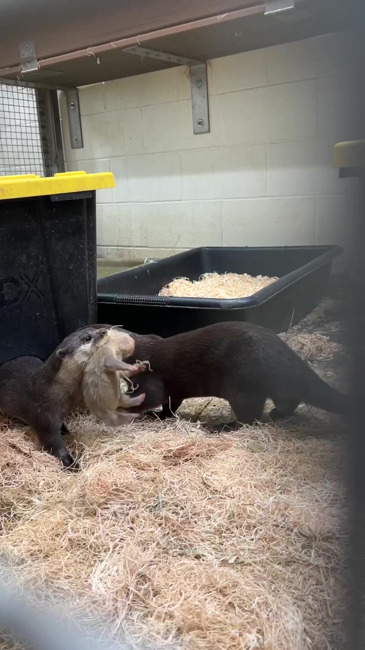 @Cincinnati Zoo