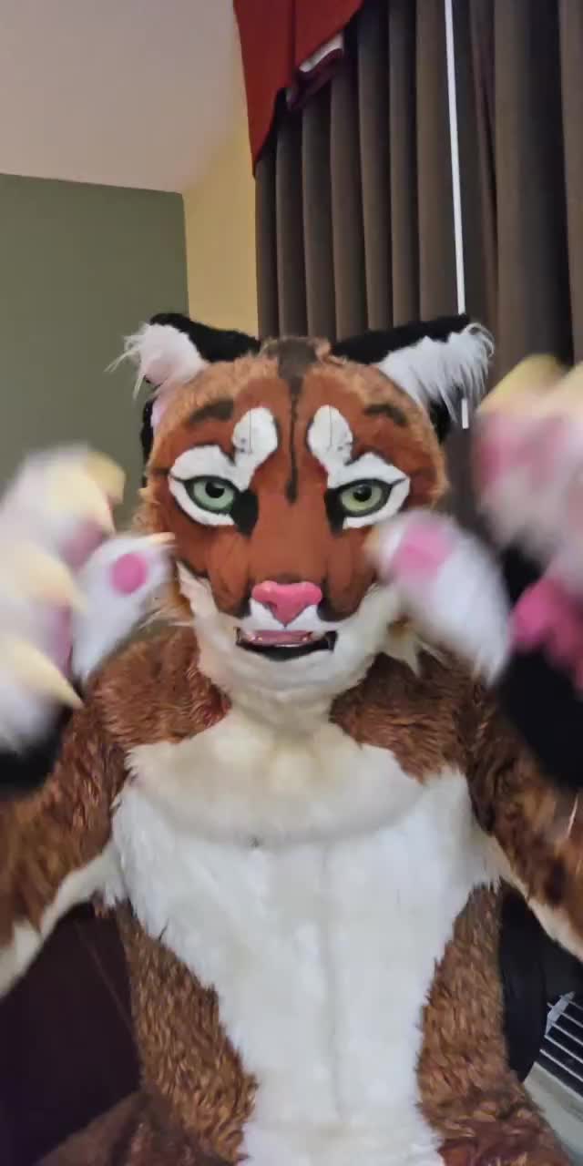 @Furry Mike