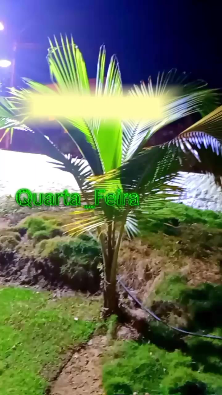 @Potiraguá Bahía e região