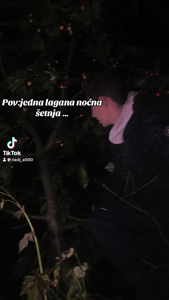 @tvojajacrnabobicaaaa