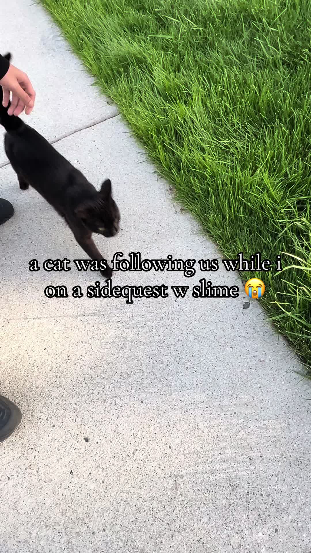 @aurixc