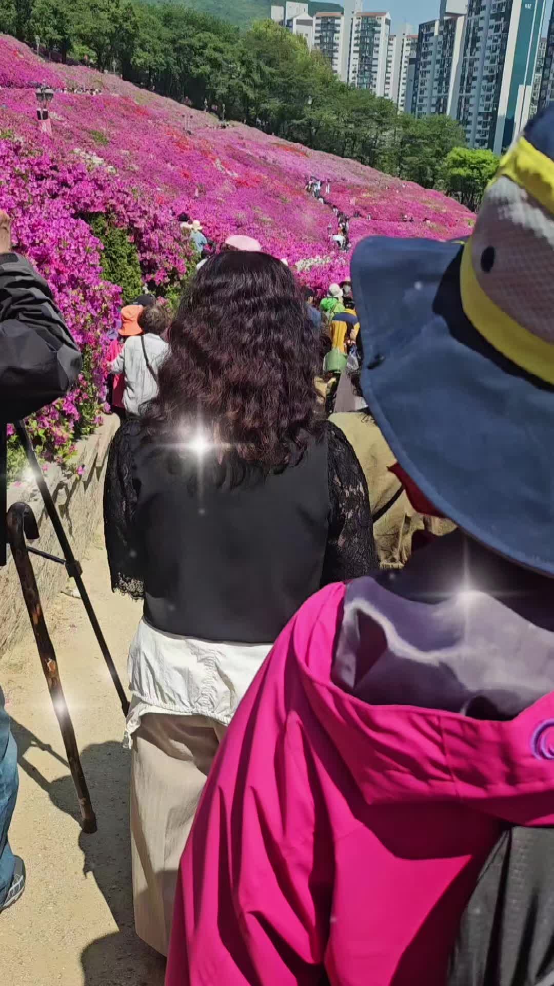 @user66947732307721
