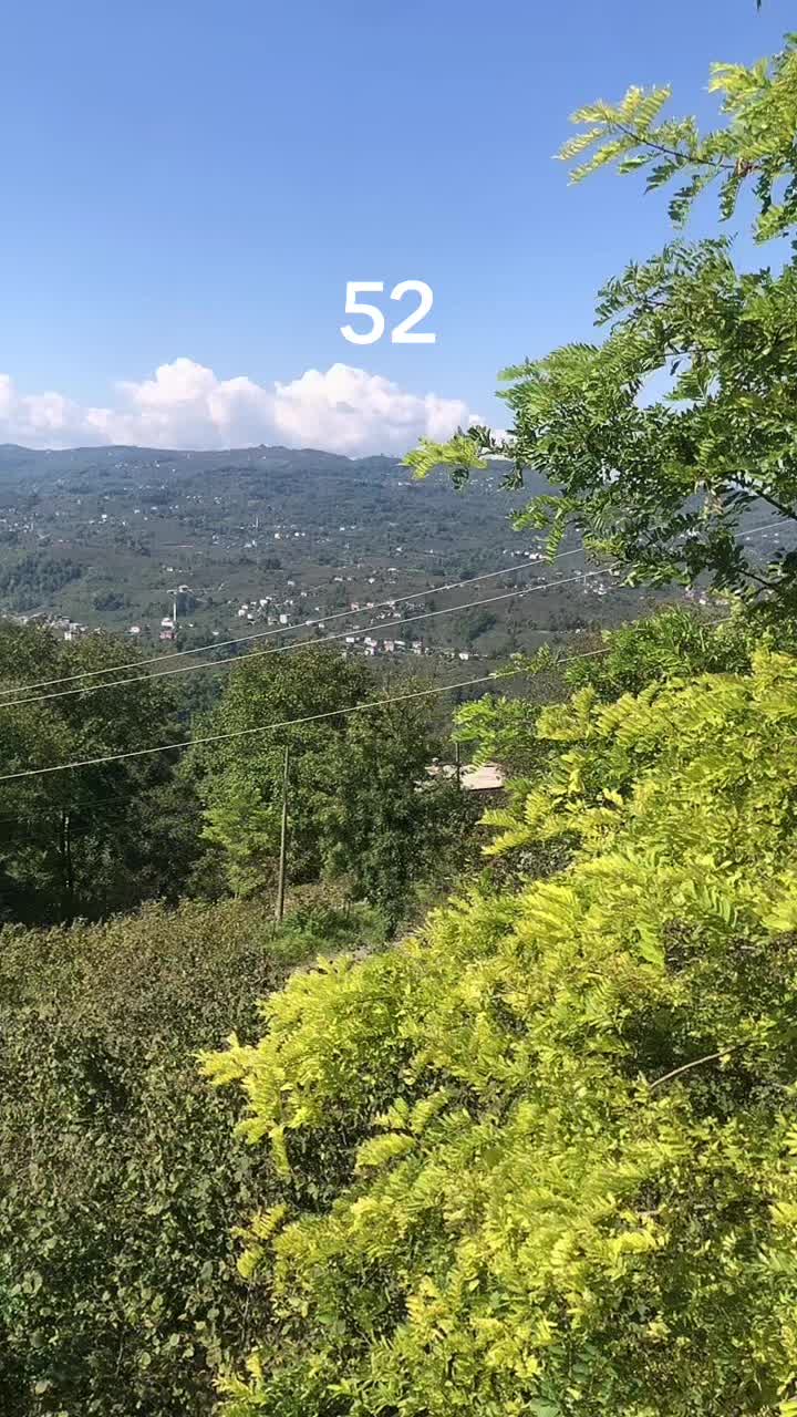@MEHMET TAŞ