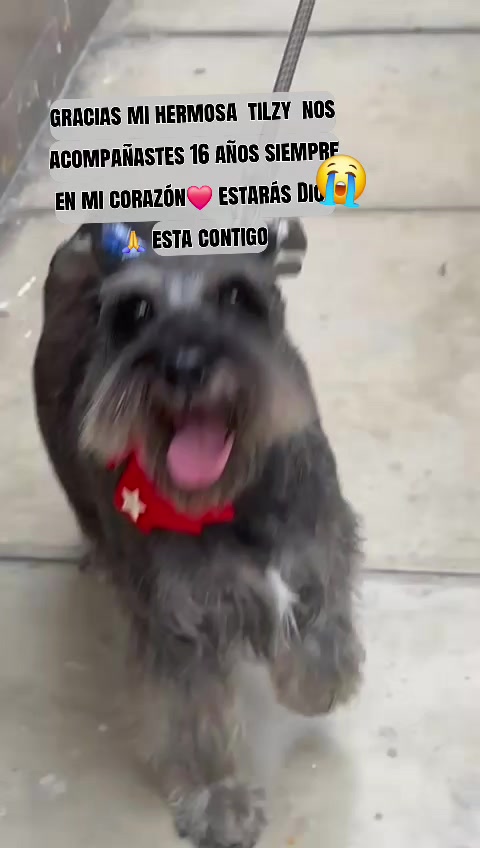 @Barbara Roo