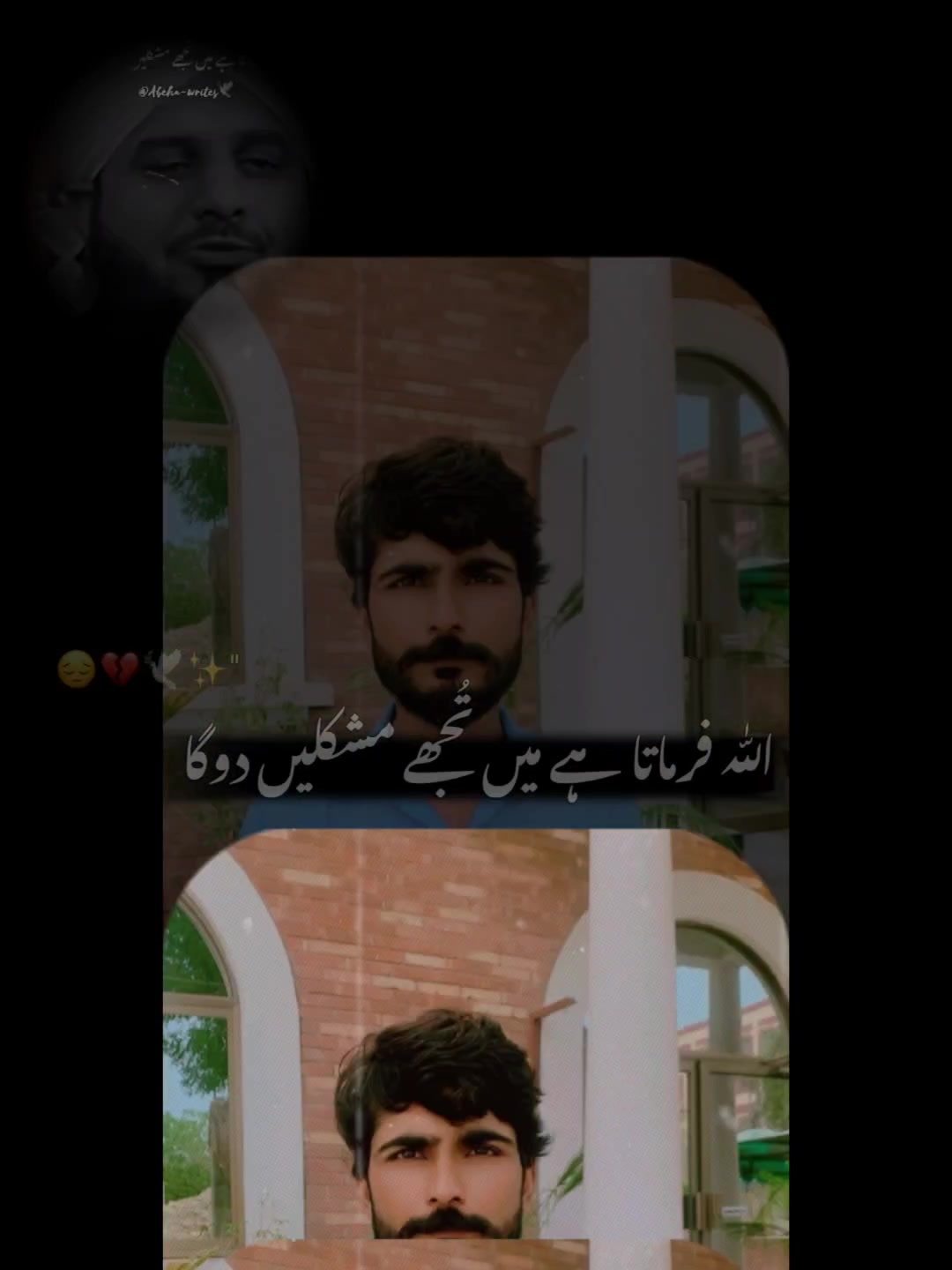 @Rana Mehran