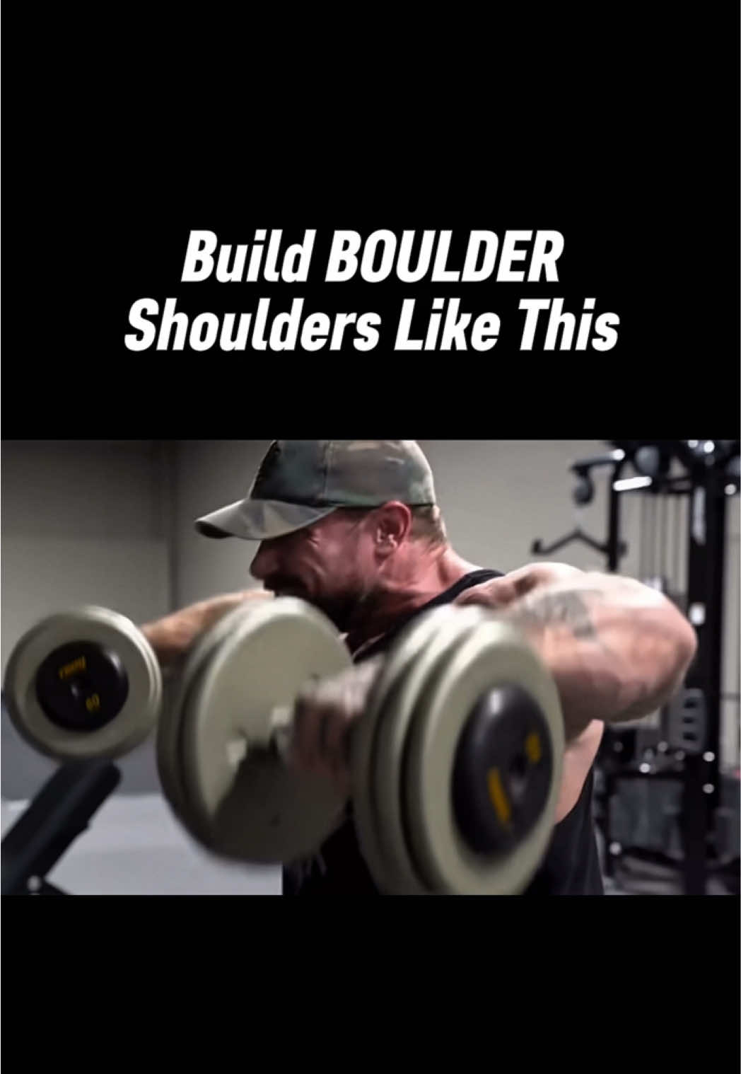 @theschoolofgains