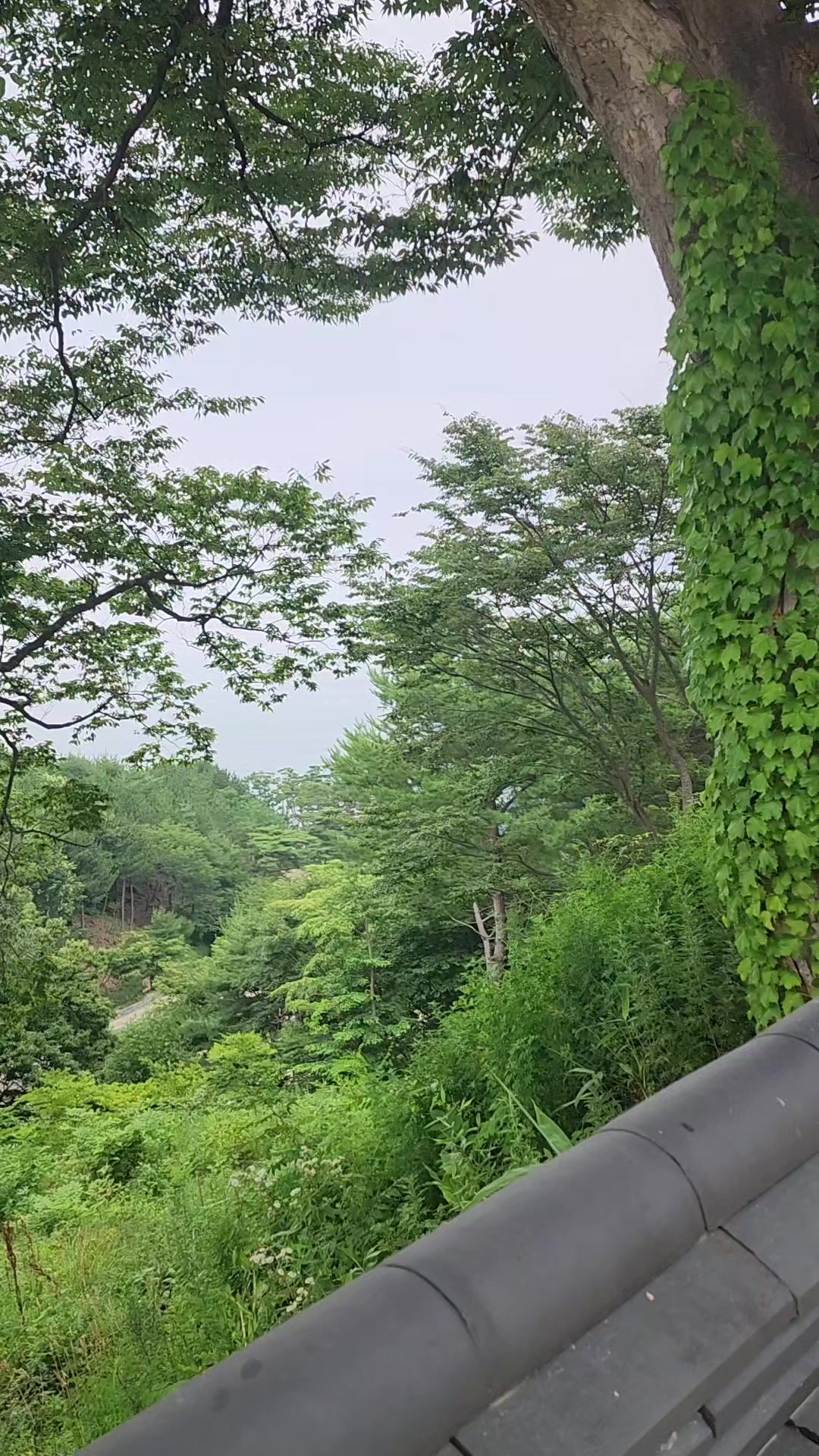 @자유로운 영혼