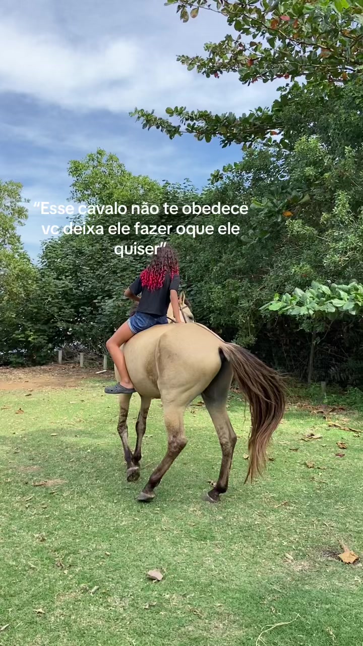 @Pᥱ́r᥆ᥣᥲ ᥱ ᥴᥲριtᥲ̃᥆