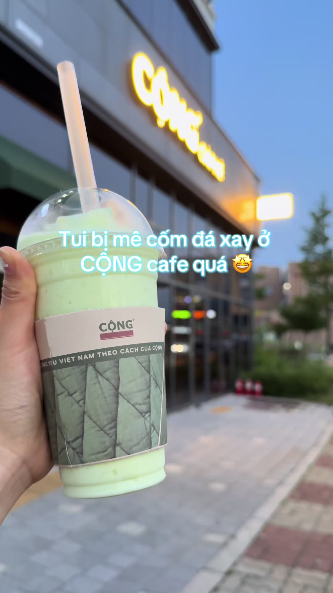 @⋆. 𐙚 ˚ Thương ༘⋆🌷🫧💭₊˚ෆ