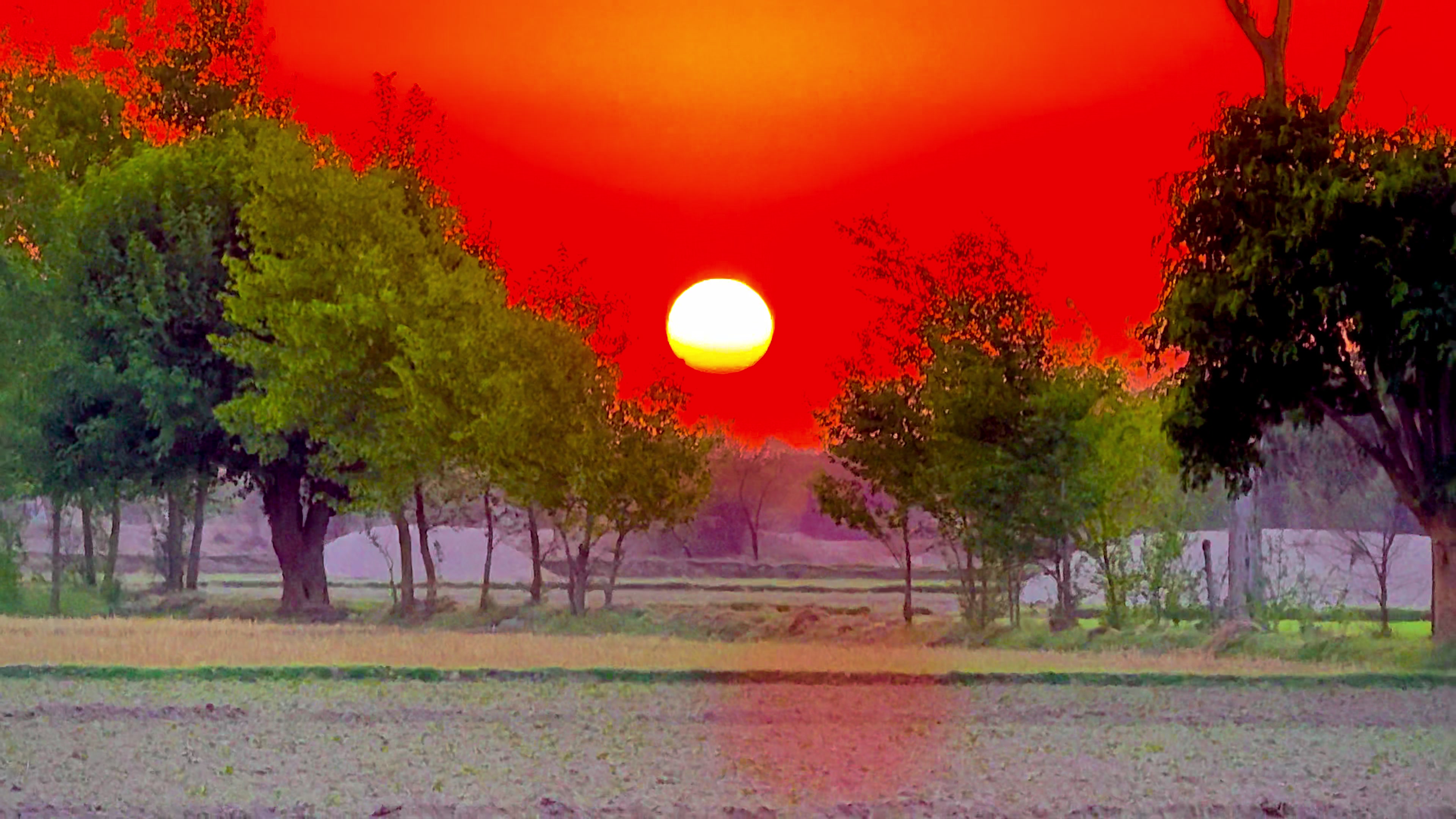@🌾میں۔ میرا۔ پنڈ🎋
