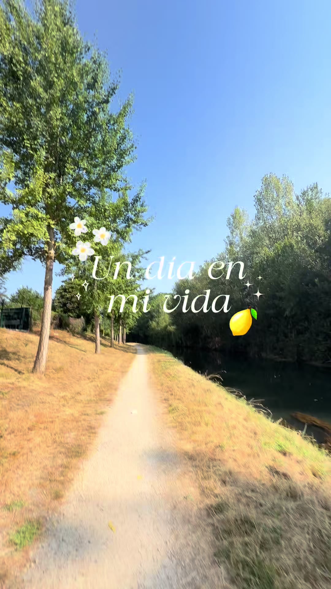 @Théa 🍋