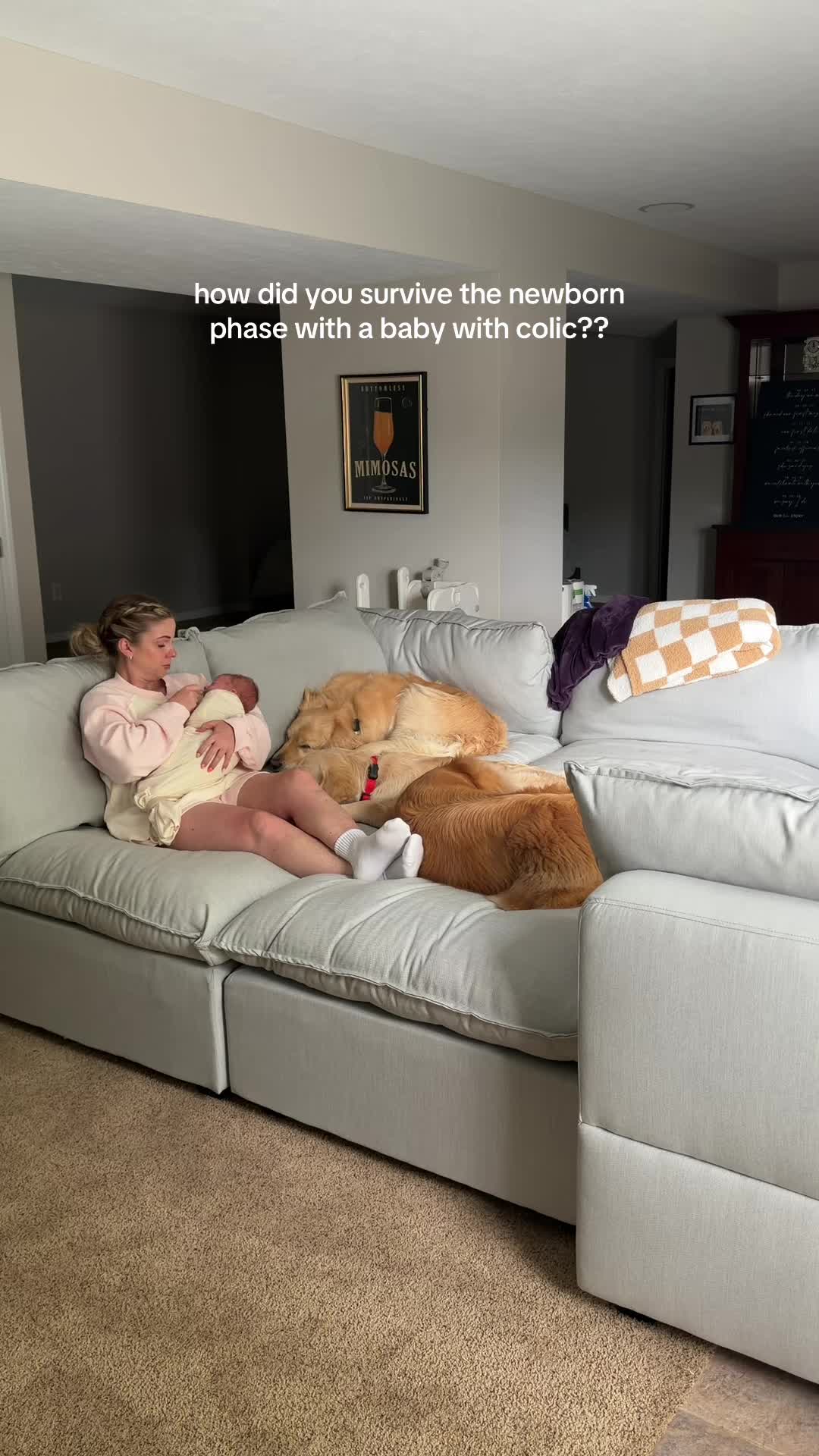 @agoldendogmom