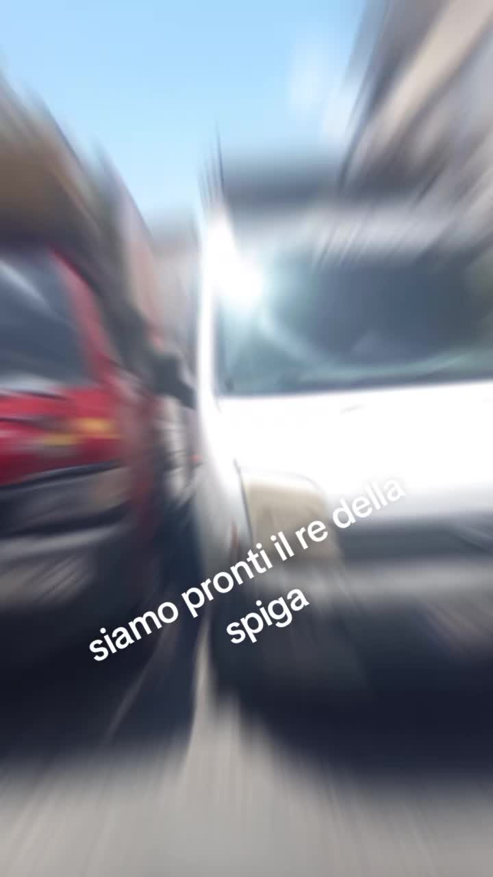 @mister 21 il re della spiga