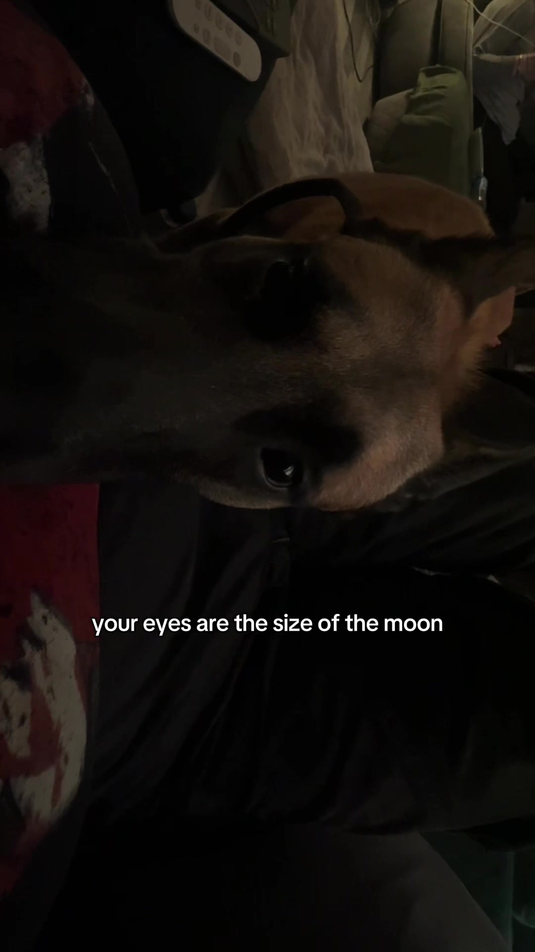 @mya