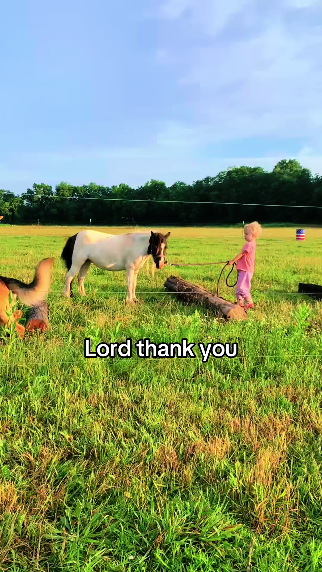@Taylor Harris