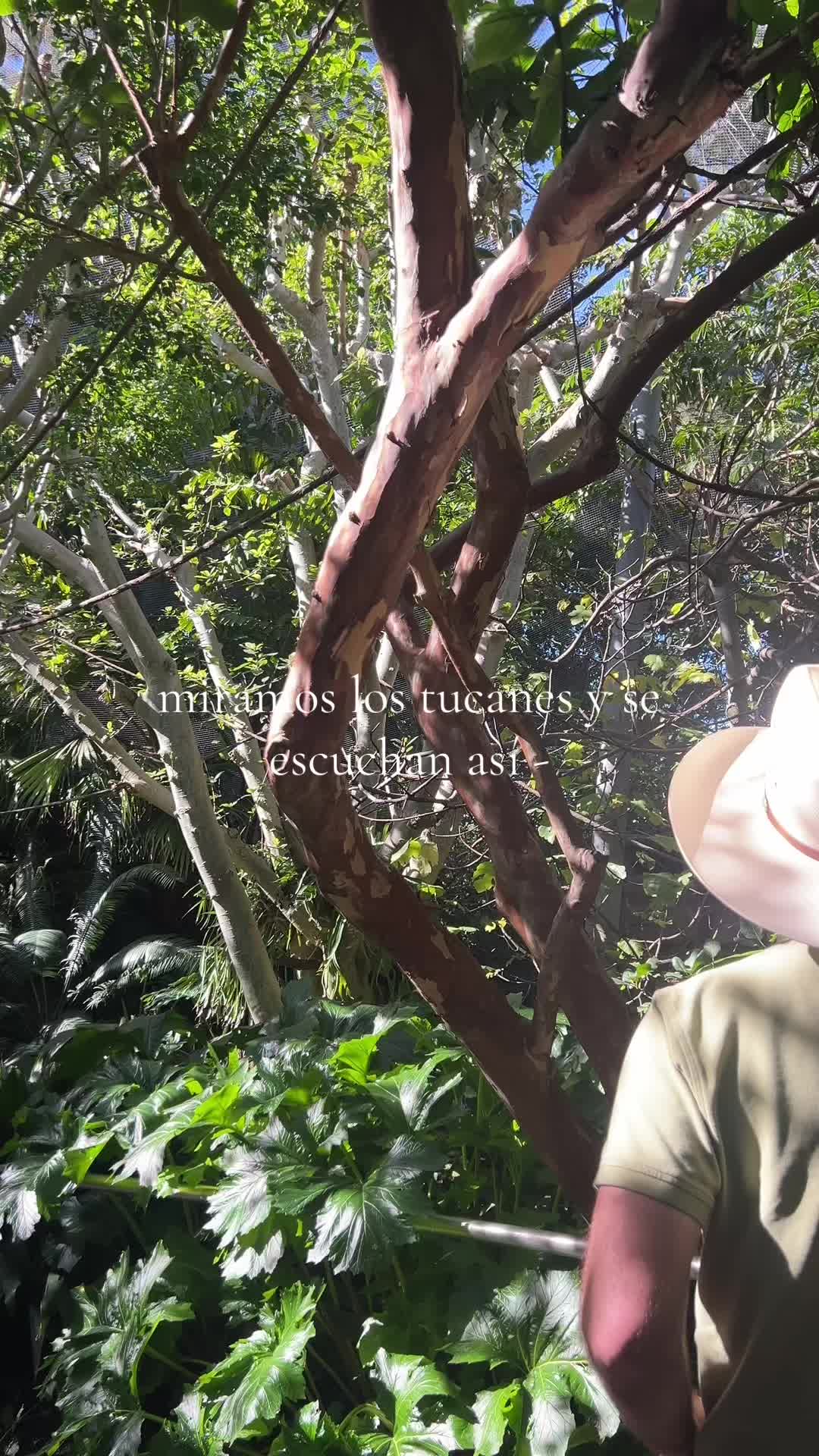 @MM
