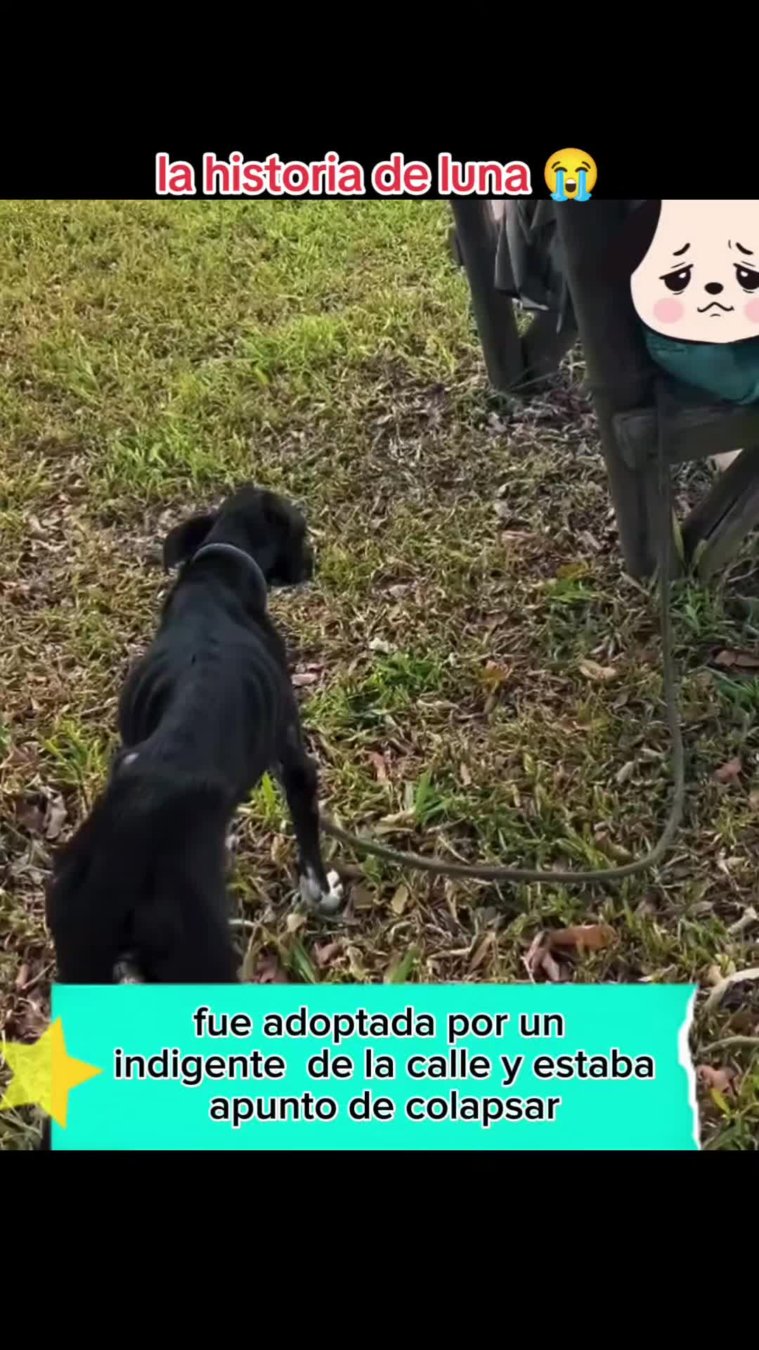 @Charlotte🐕&zwj;🦺🐈🐕🦬🐐🐎🐄🐒