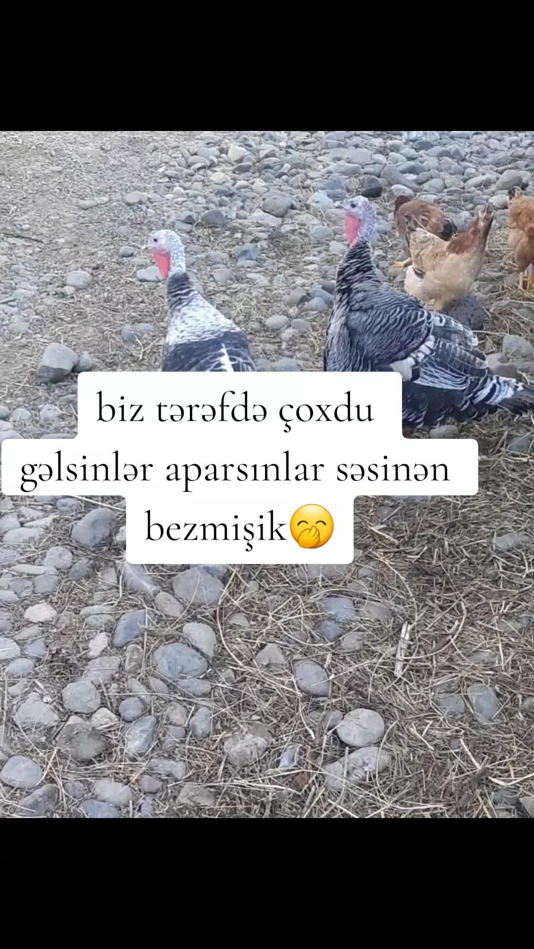 @♍♍