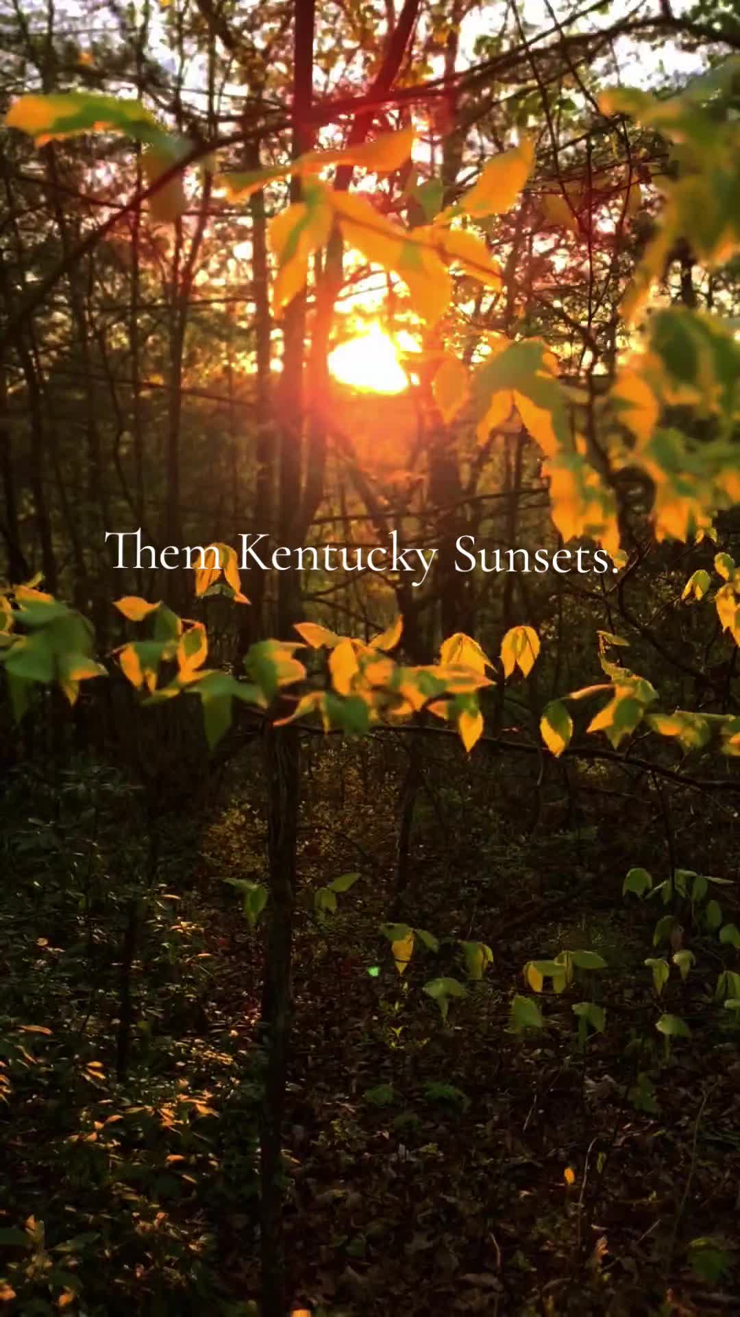 @Kentucky Simple Man