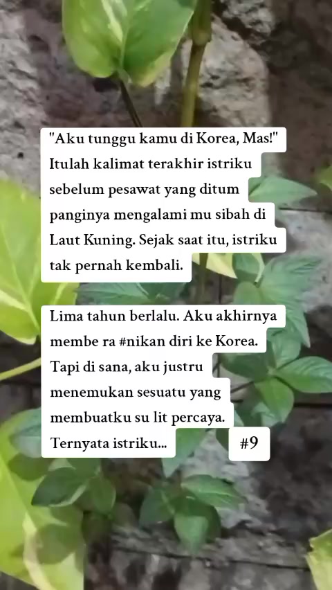 @senyumkata