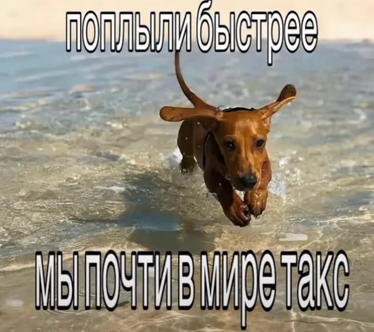 @вторник