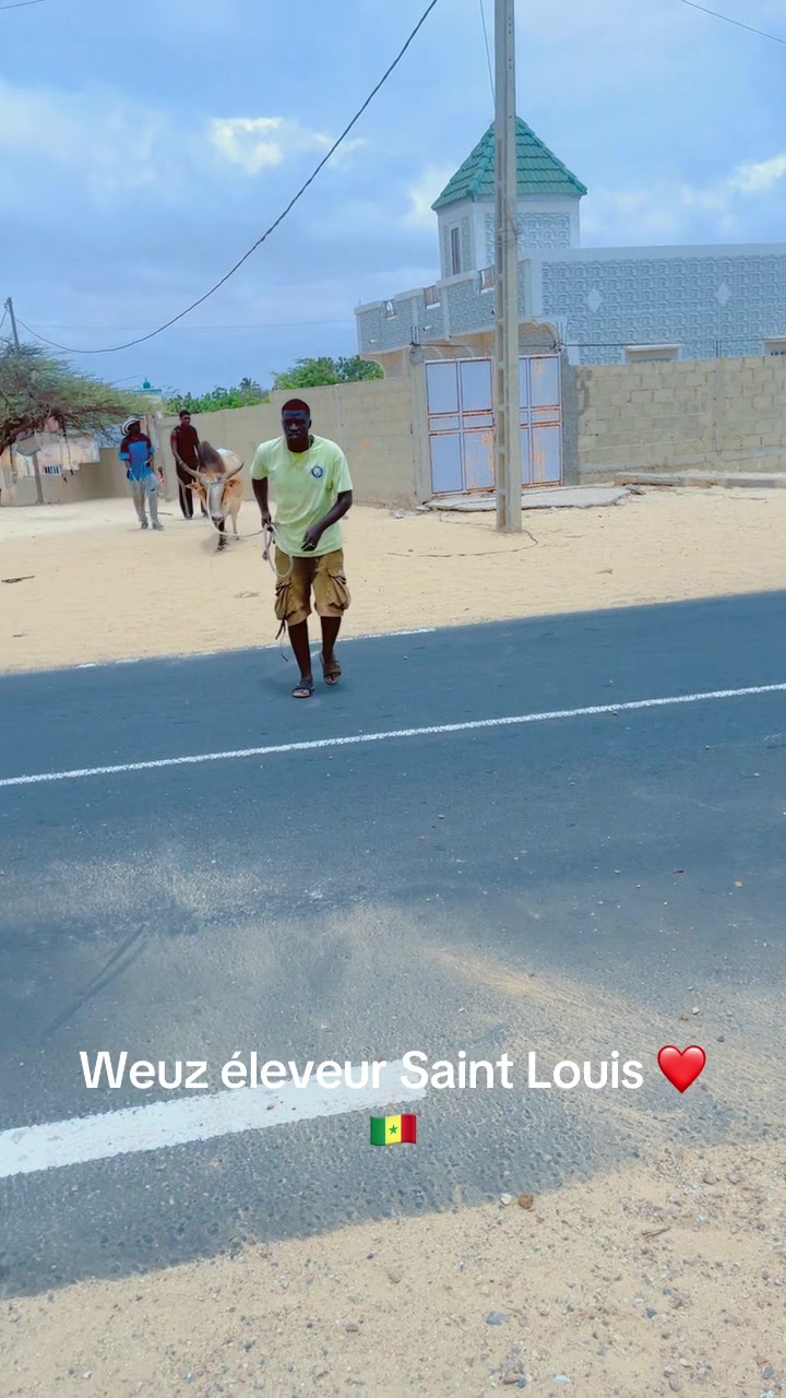@Weuz🐄&Eacute;leveur saint Louis ❤️