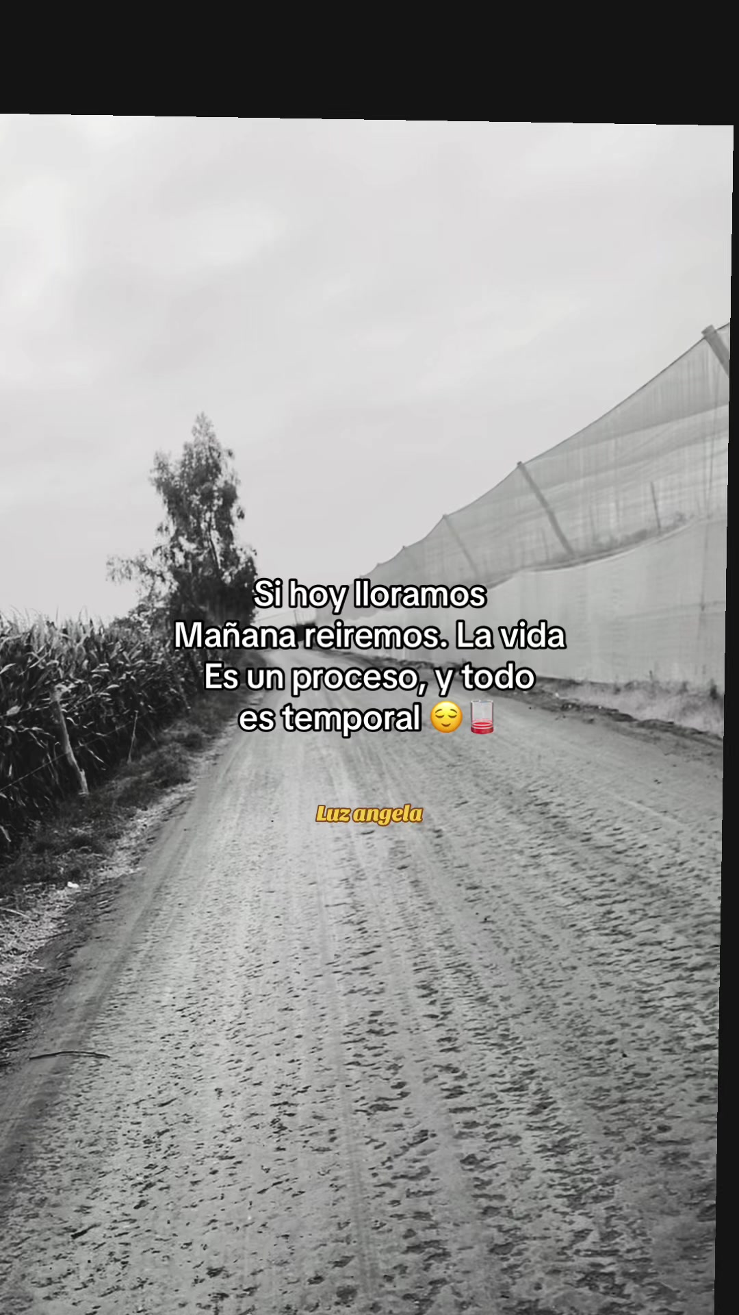 @Angela🌼😍