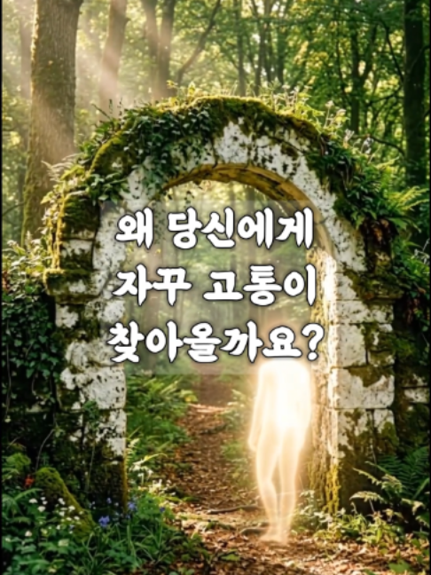 @빛의 씨앗