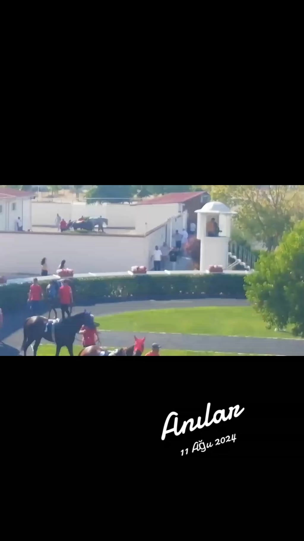 @brs horse racing