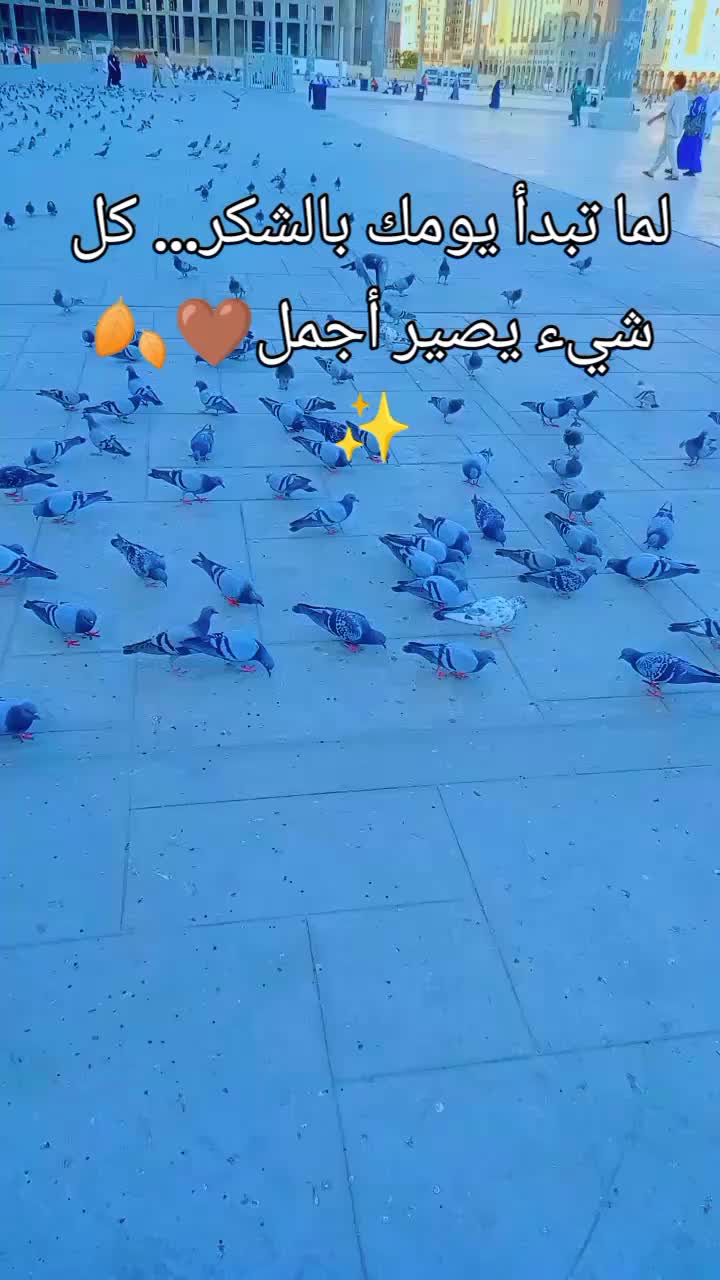 @Doaa Mohammed