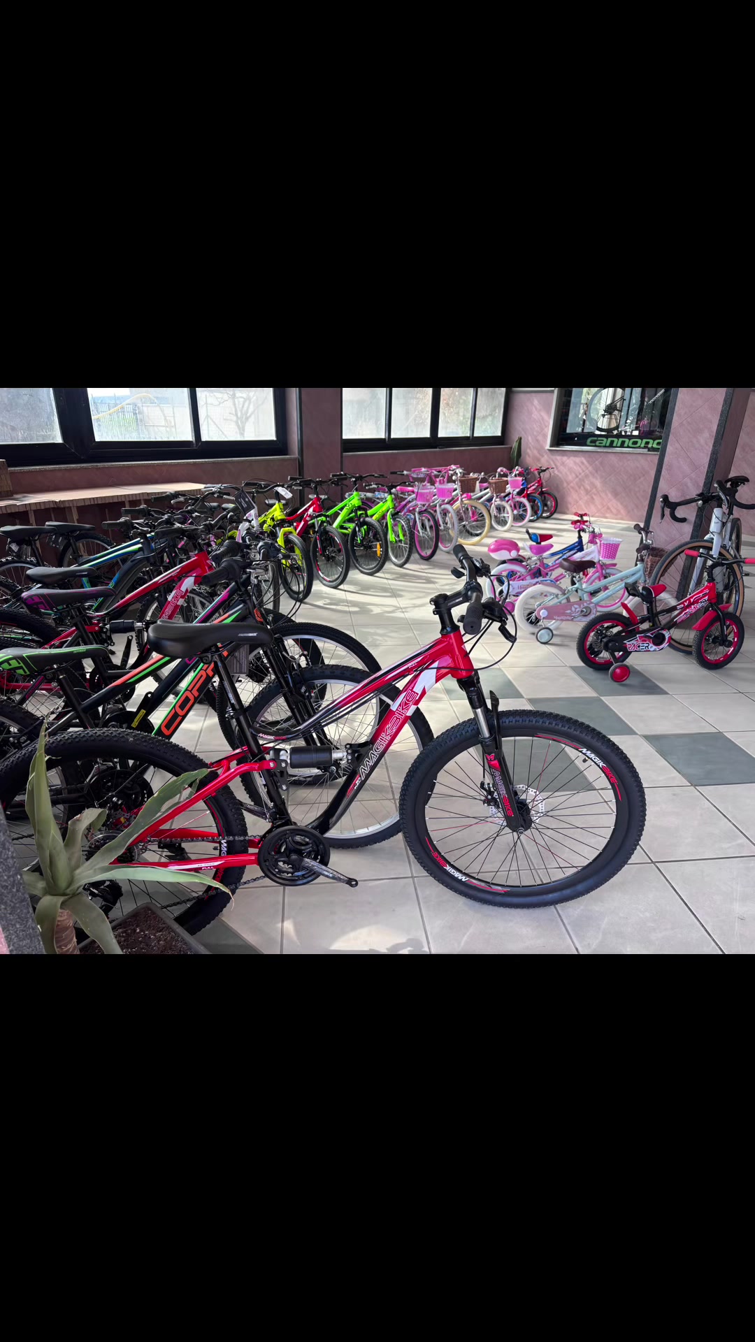 @Bosa Bike