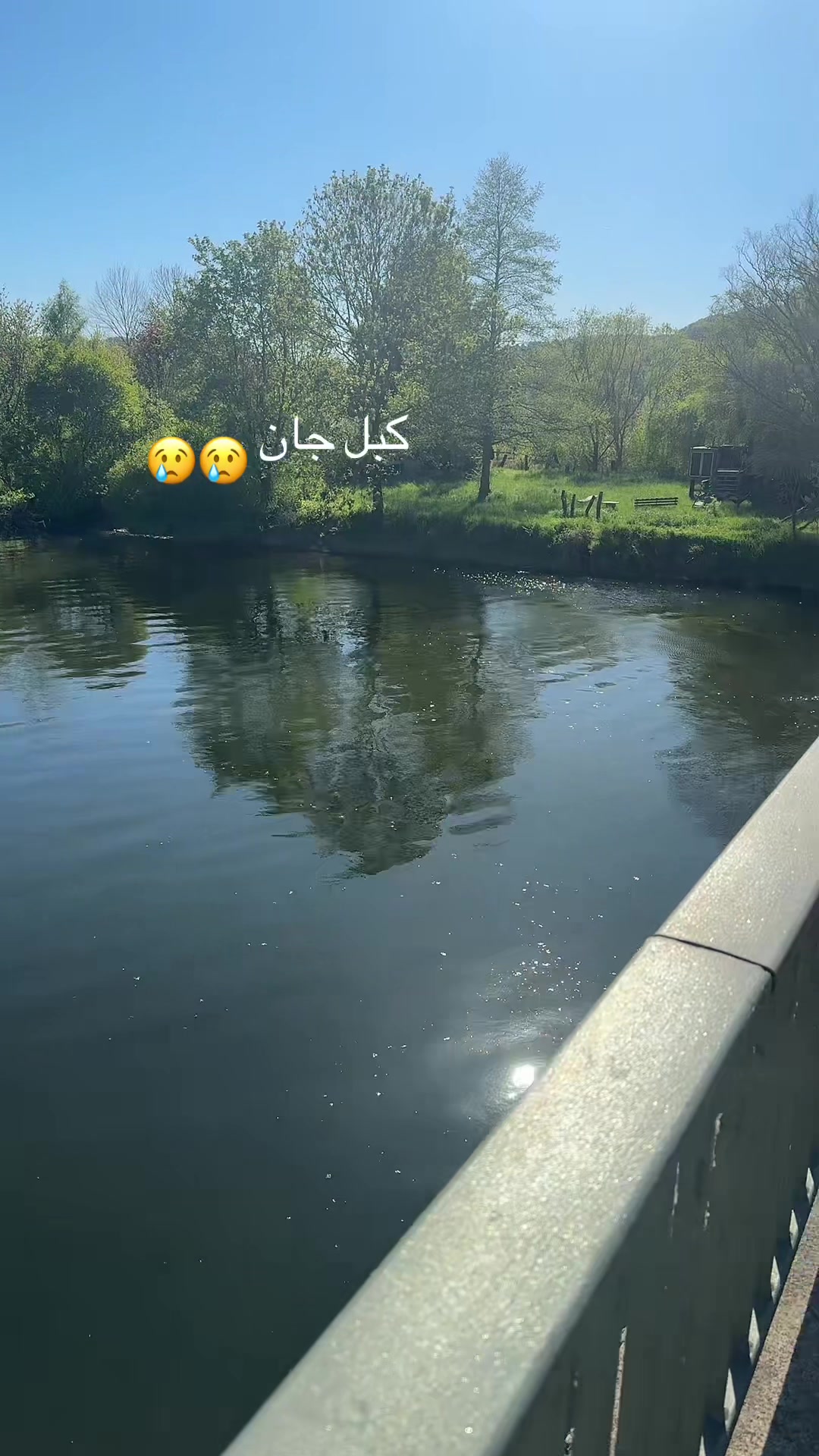 @Mohammad Soltani