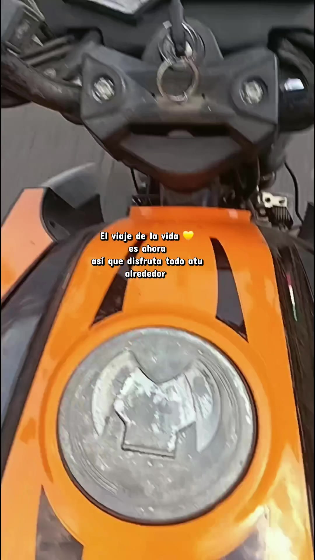 @vjsv