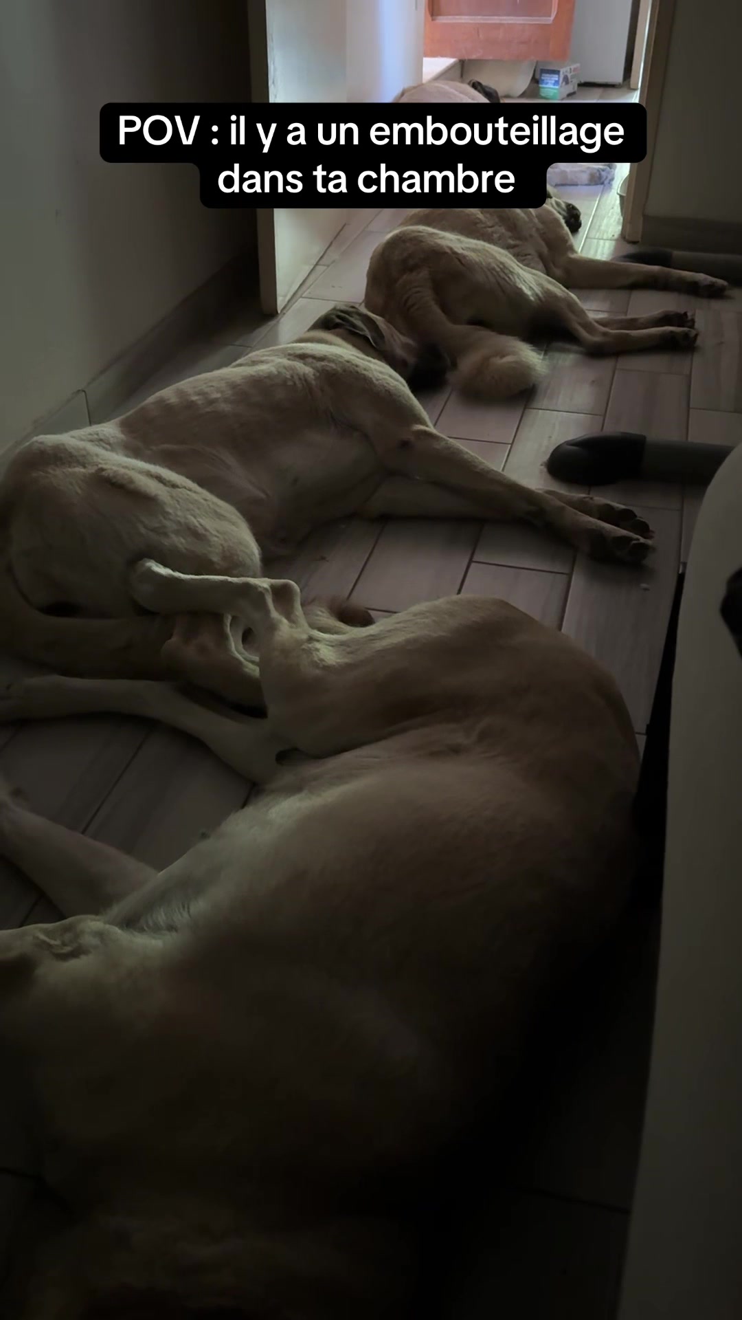 @Purekangal