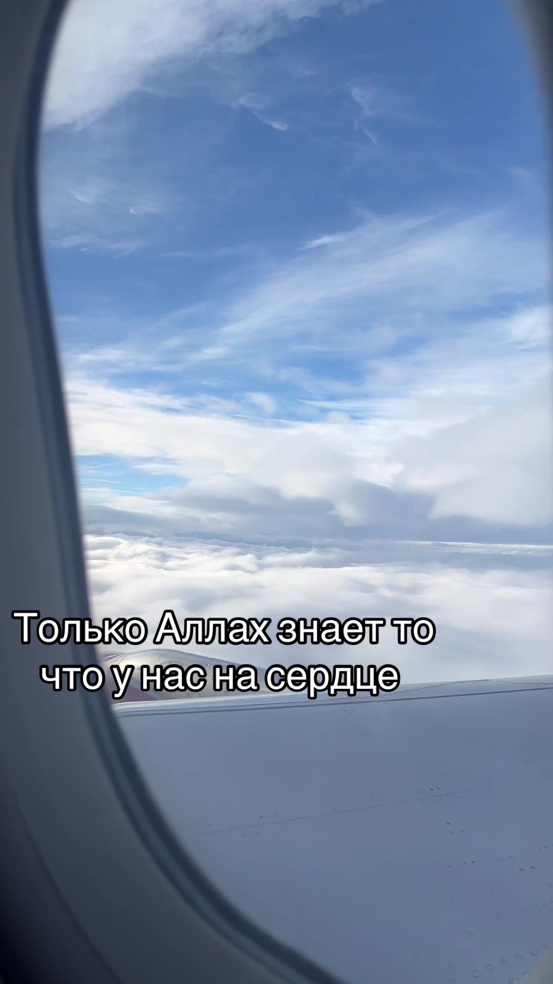 @Русская Мусульманка🧕🏻