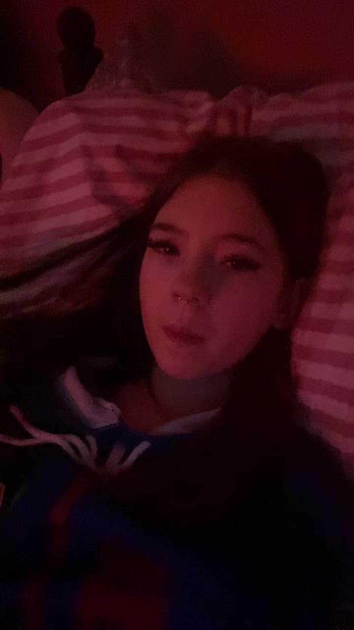 @🎄🎄🎄