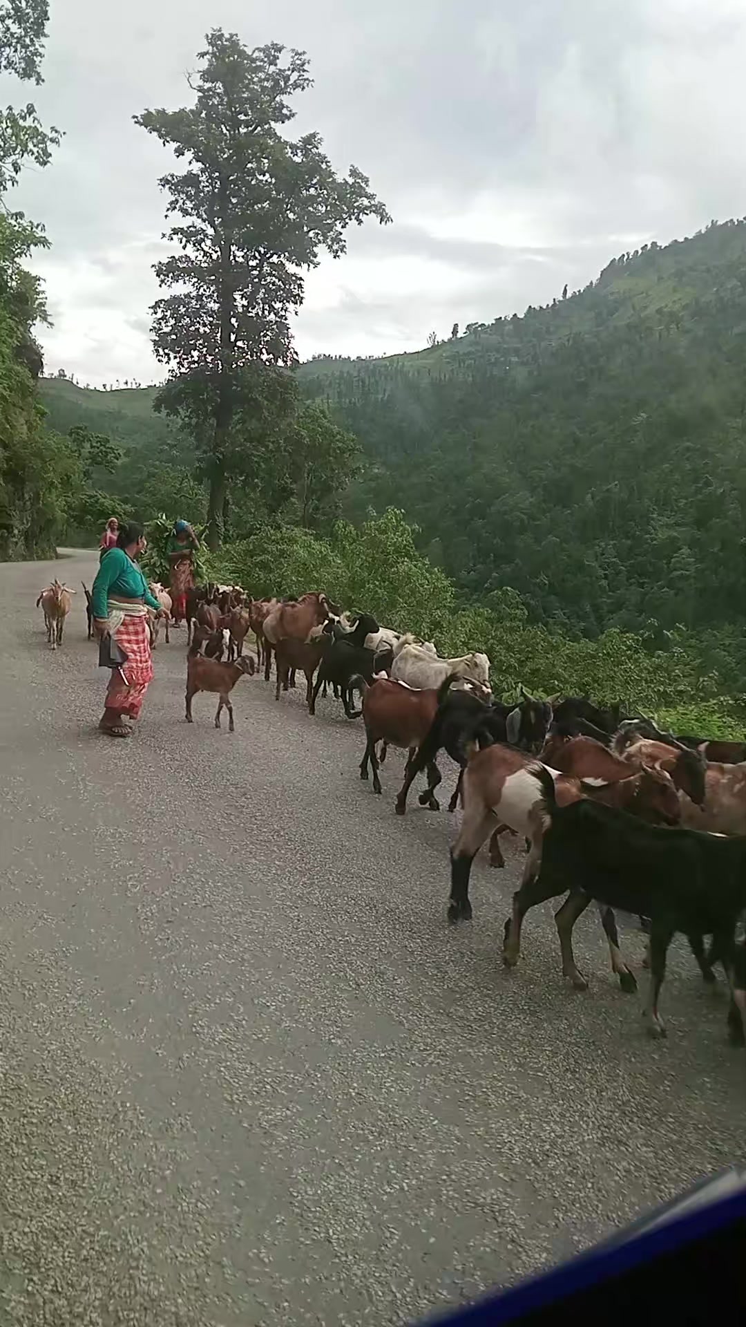 @बस्नेत काजी👨💻🇳🇵🇳🇵