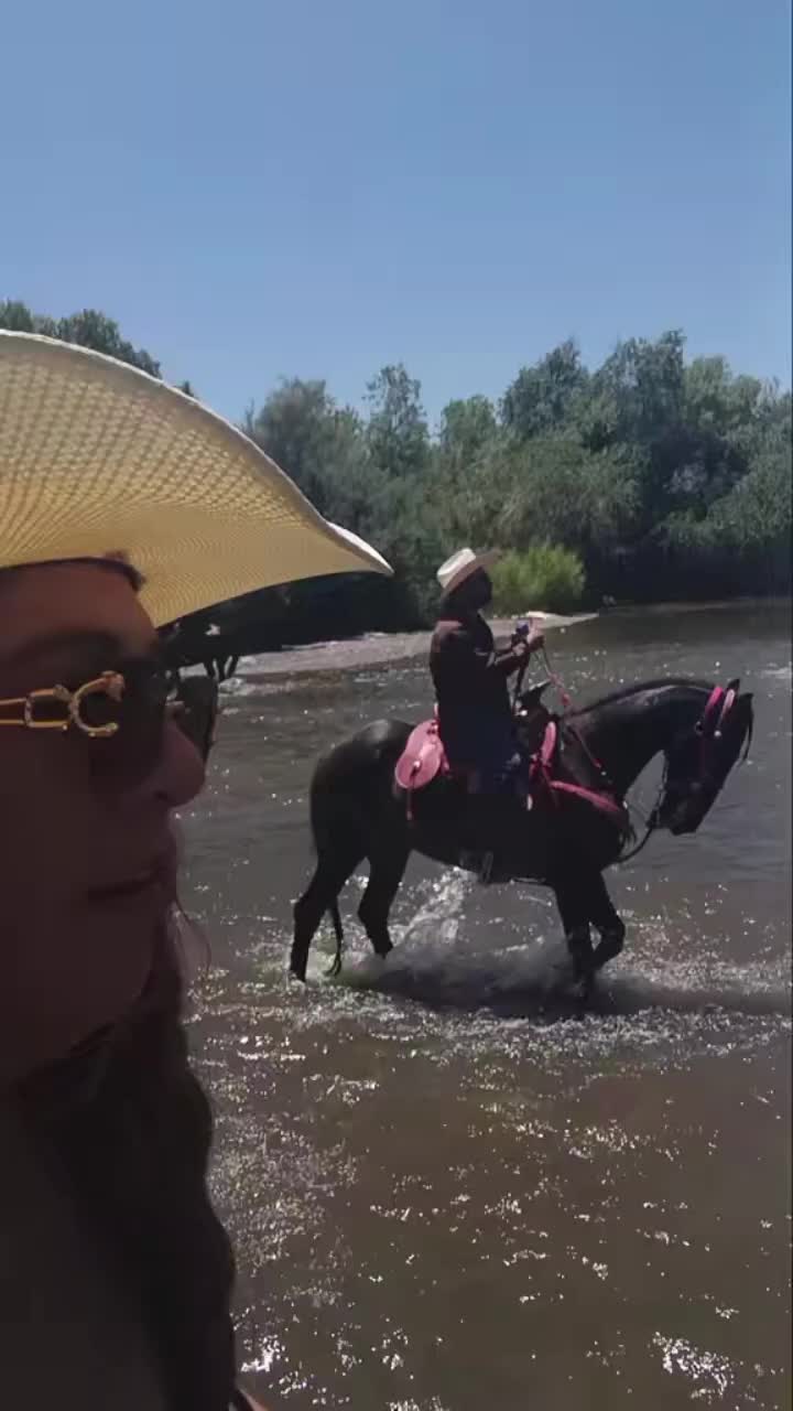 @Arizona