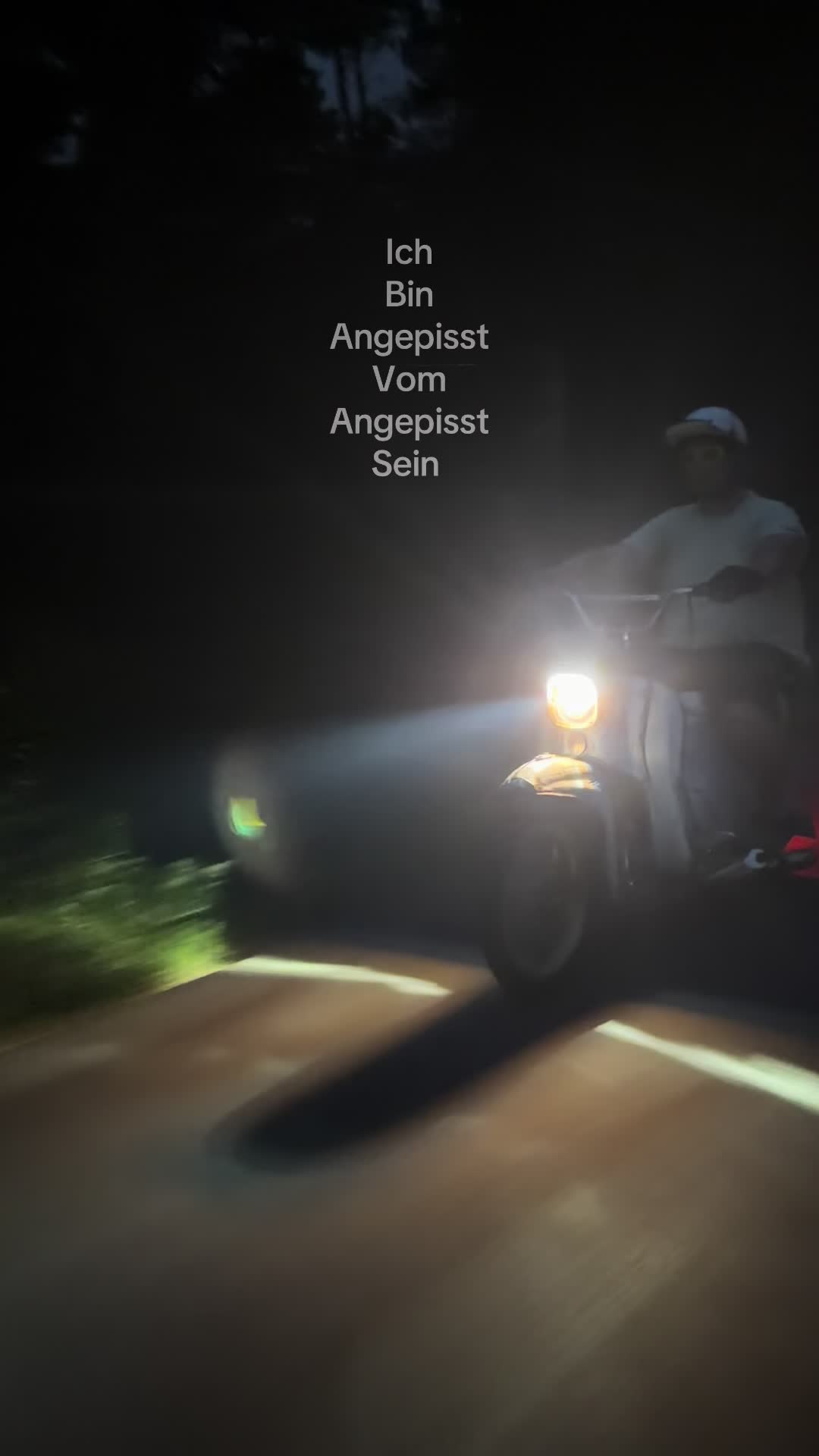 @𝕱𝖎𝖓𝖓🇩🇪🦅