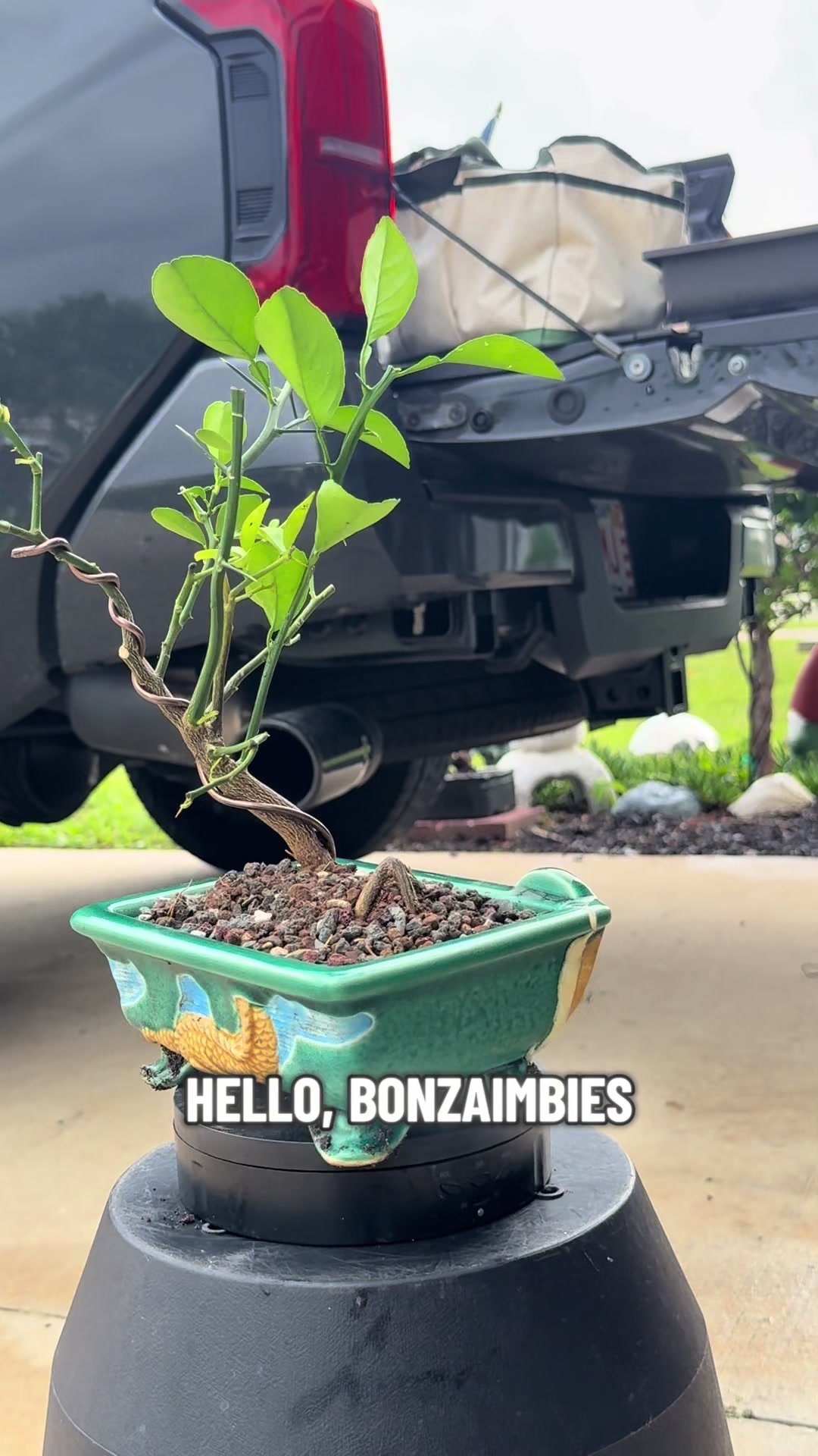 @BONZÁIMBI™️⛩️