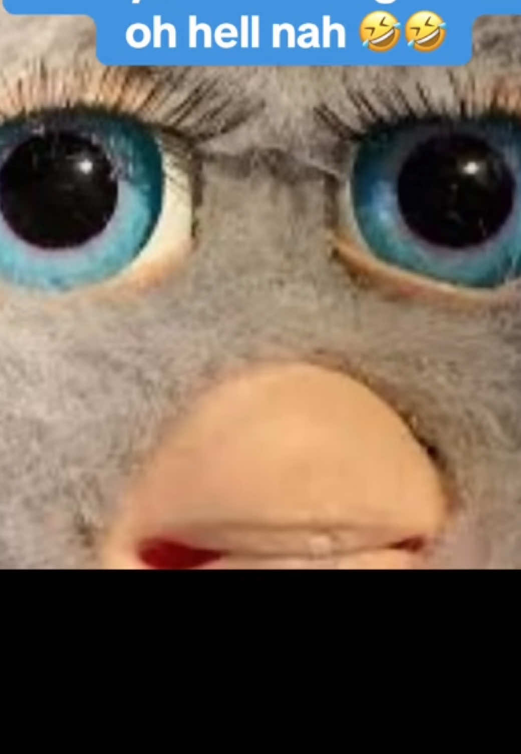 @Furbaliciousfurbz