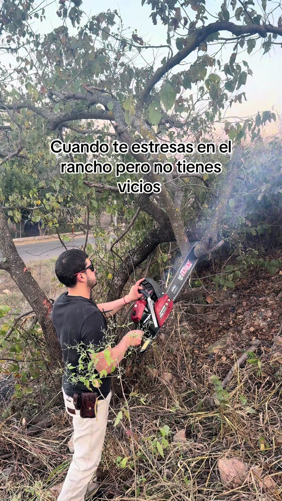 @Alan García 🇲🇽🐷🐖🐽