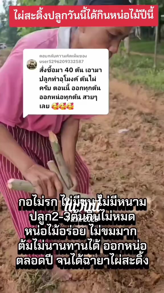 @นัดดาชอป
