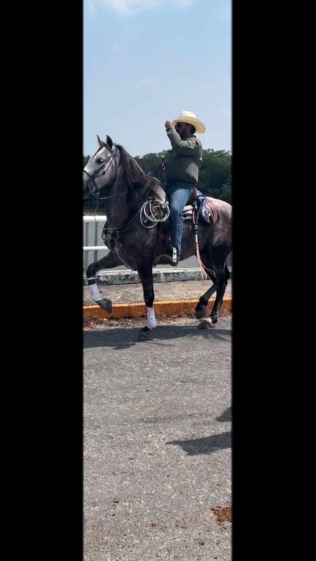@Maripaz Carmona