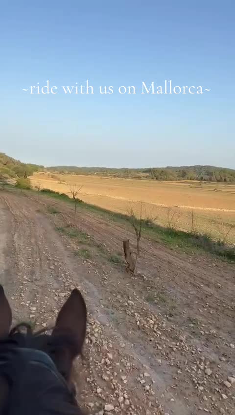 @Mallorcas pippi langstrumpf 🐴