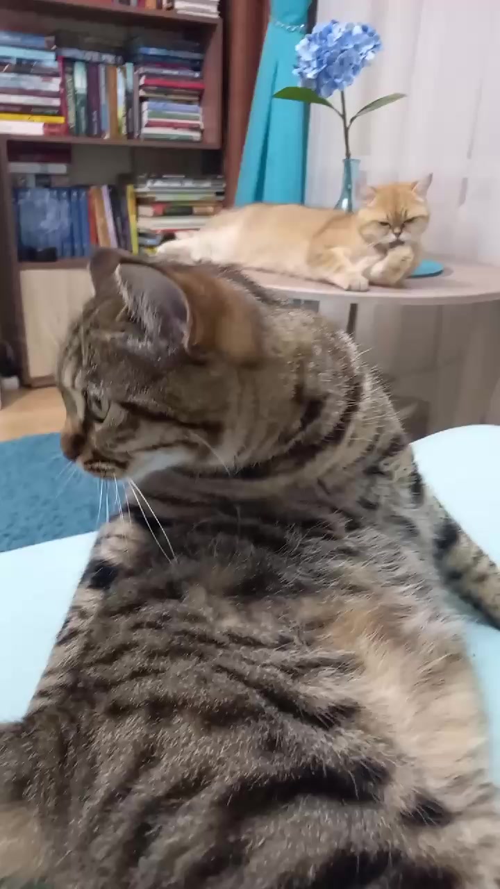 @Татьяна Грачёва