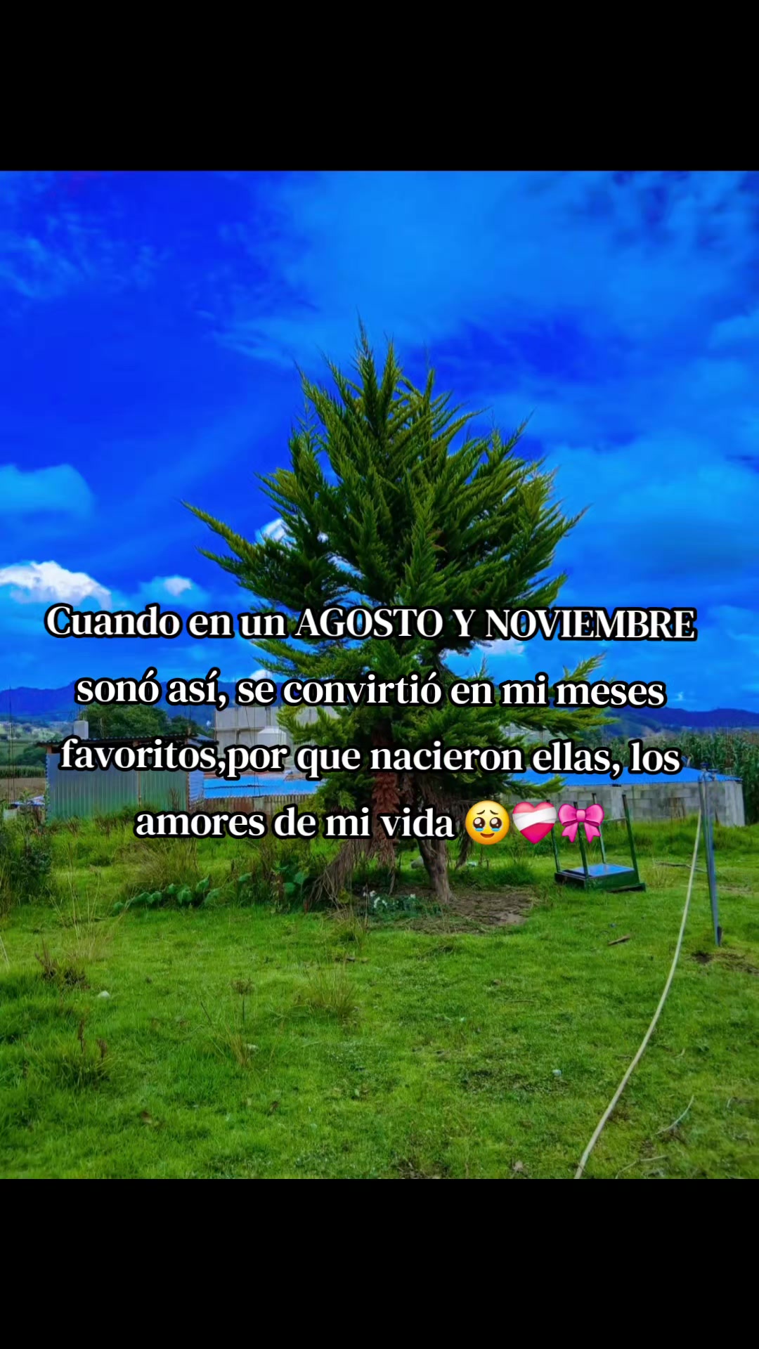 @🐉ᵈᵉ ʲ MI FLOR HERMOSA🌺CHUMIL